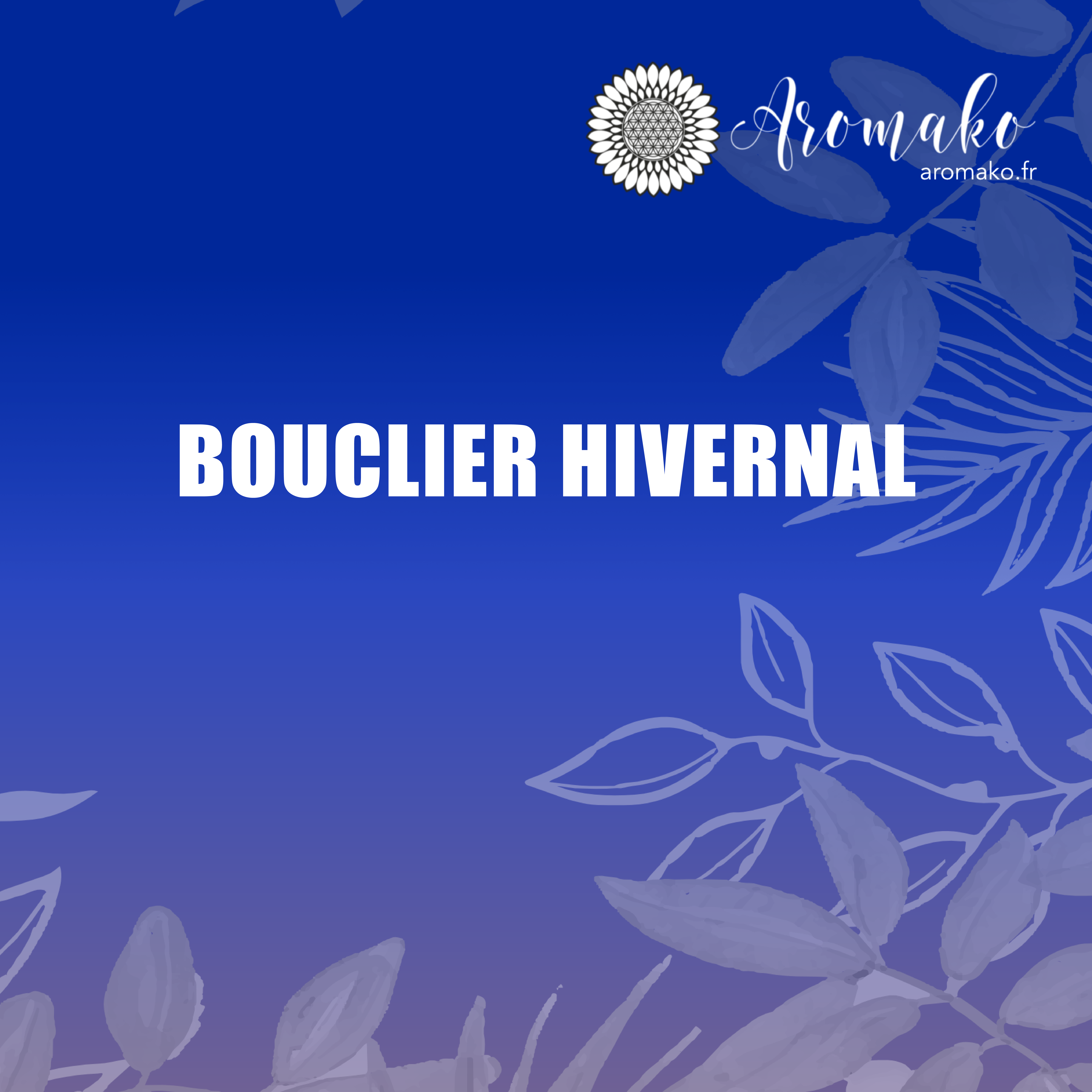 Kit Bouclier Hivernal