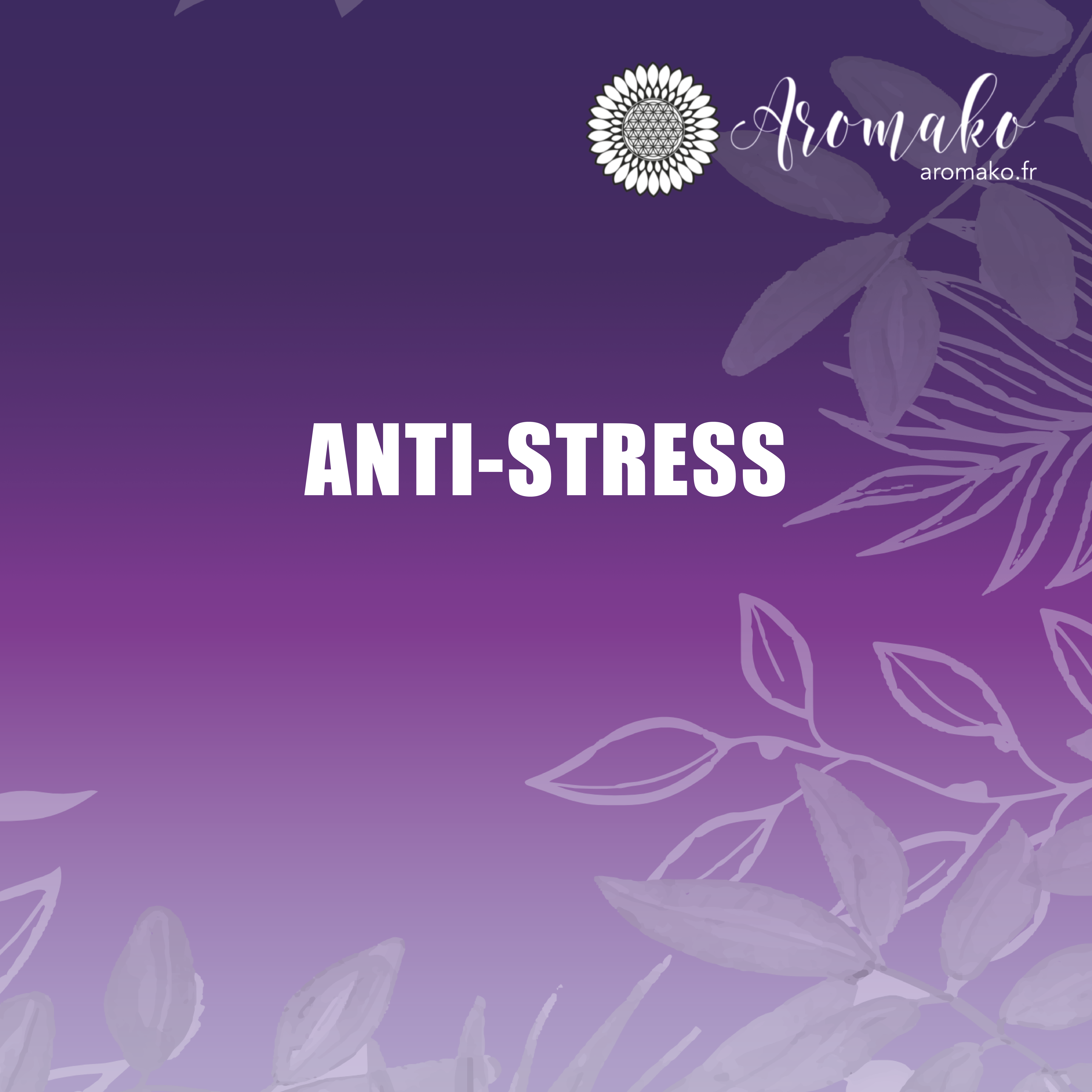 Kit Anti-Stress